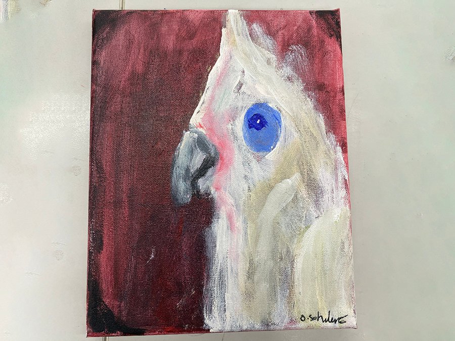 Feature artwork by Olivia Schubert