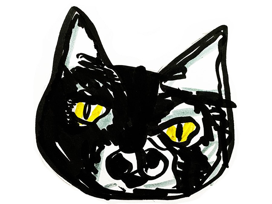 Feature artwork by Olivia Schubert