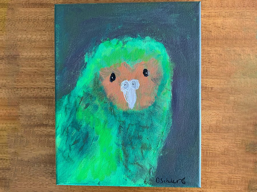 Feature artwork by Olivia Schubert